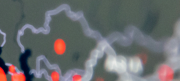 1_03